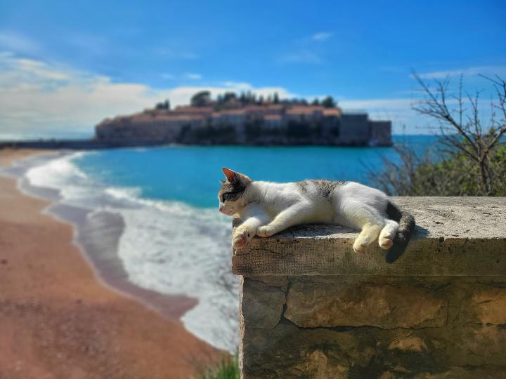 Черногория, Будванская ривьера, Остров Святого Стефана