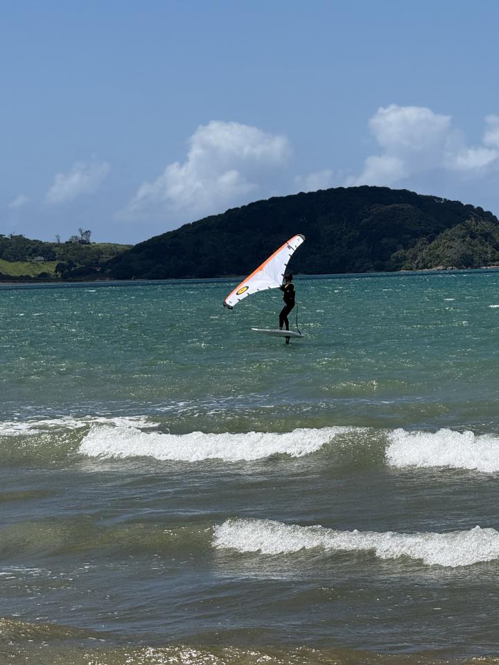 Новая Зеландия, Карикари