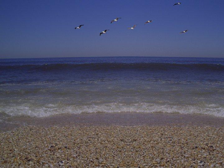 Америка, Нью-Джерси, Лонг Бранч