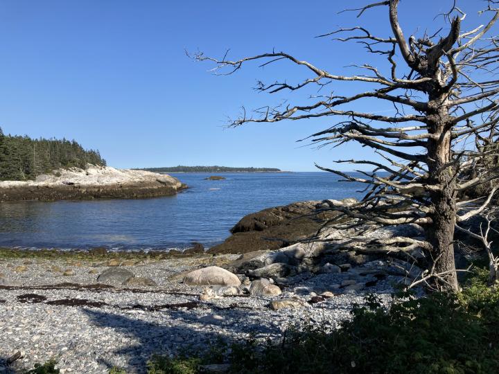 Америка, Мэн