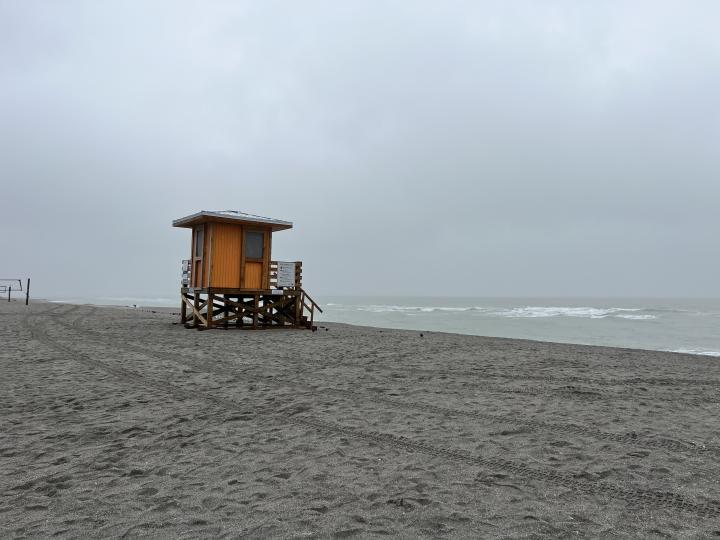 Америка, Побережье Мексиканского залива Флориды, Венис Бич