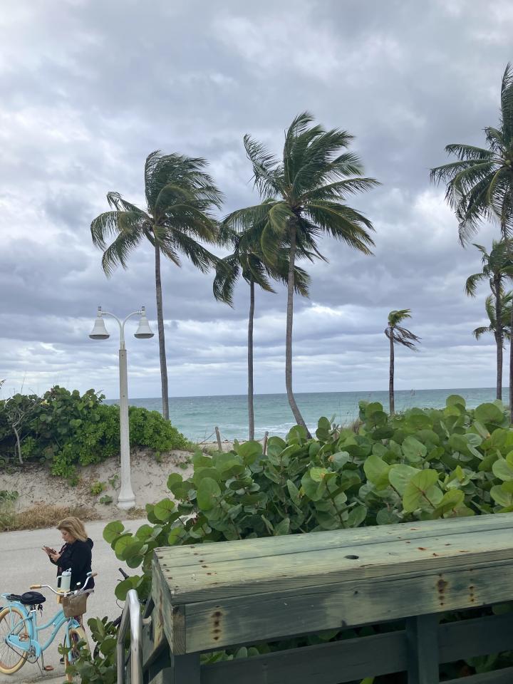 Америка, Восточное побережье Флориды, Холливуд