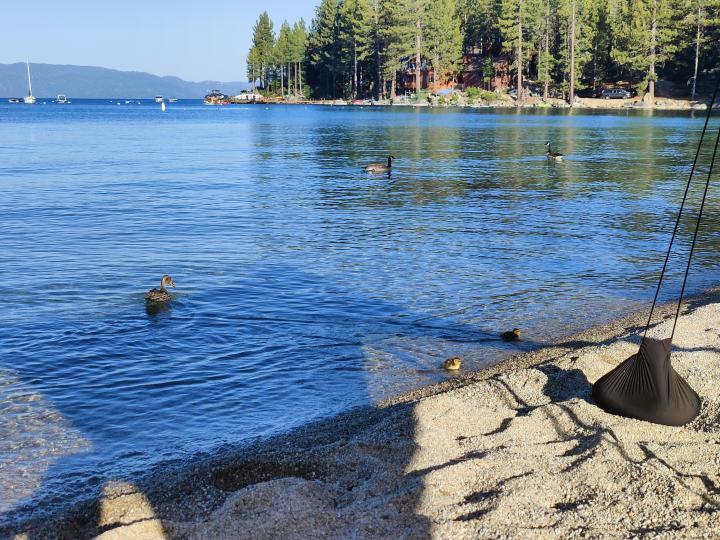 Америка, Калифорния, Север Лейк Тахо