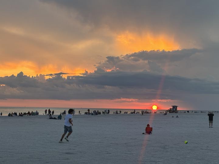 Америка, Побережье Мексиканского залива Флориды, Сарасота