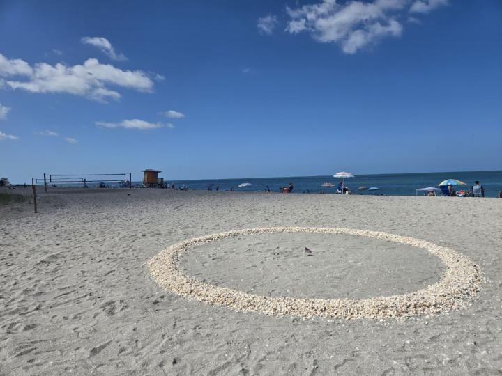 Америка, Побережье Мексиканского залива Флориды, Венис Бич