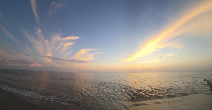 Америка, Побережье Мексиканского залива Флориды, Венис Бич