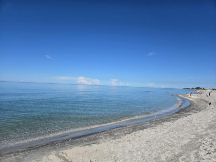 Америка, Побережье Мексиканского залива Флориды, Венис Бич