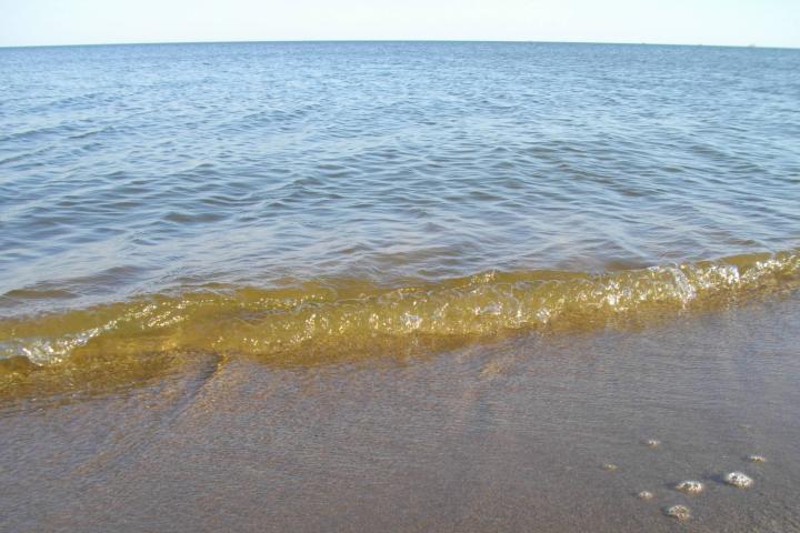 Мариупольское море и суда на рейде | Украина, Мариуполь