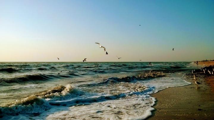 Украина, Счастливцево