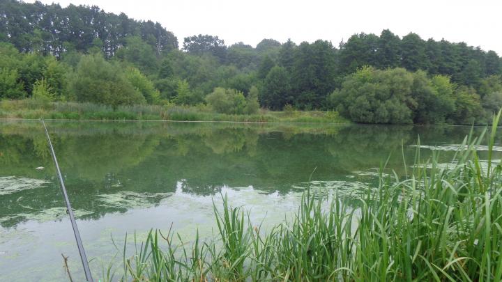 Украина, Южный Буг (возле Винницы)