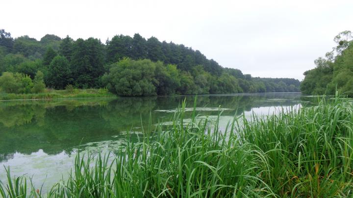Украина, Южный Буг (возле Винницы)