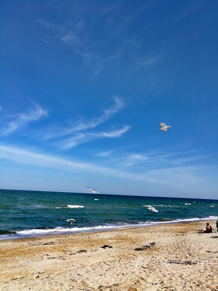 Счастливцево. Май, 2019г. | Украина, Счастливцево