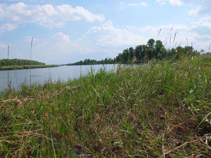 Украина, Воропаев