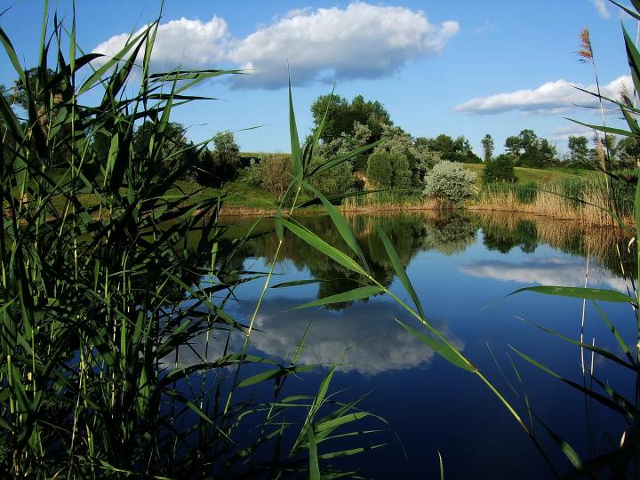 Озеро близ села Хмелёвка | Украина, Псел (возле Сум)
