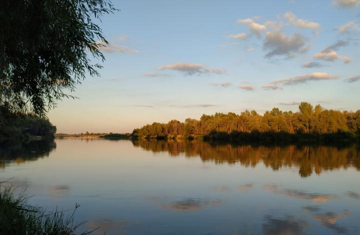 Украина, Сувид