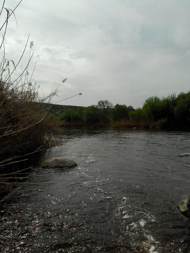 Украина, Южный Буг  (возле Южноукраинска)