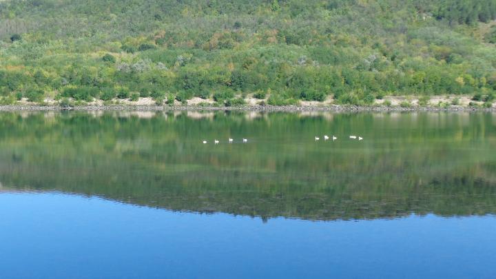 Украина, Новоднестровск