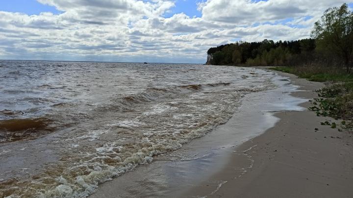 Между сёлами Лютеж и Казаровичи | Украина, Киевское море