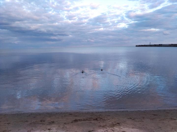 Весна на Азовском море | Украина