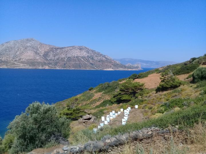 Греция, Эгейские острова, Фурни
