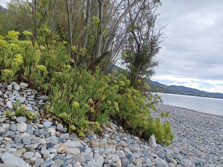 Греция, Пелопоннес, Каламата