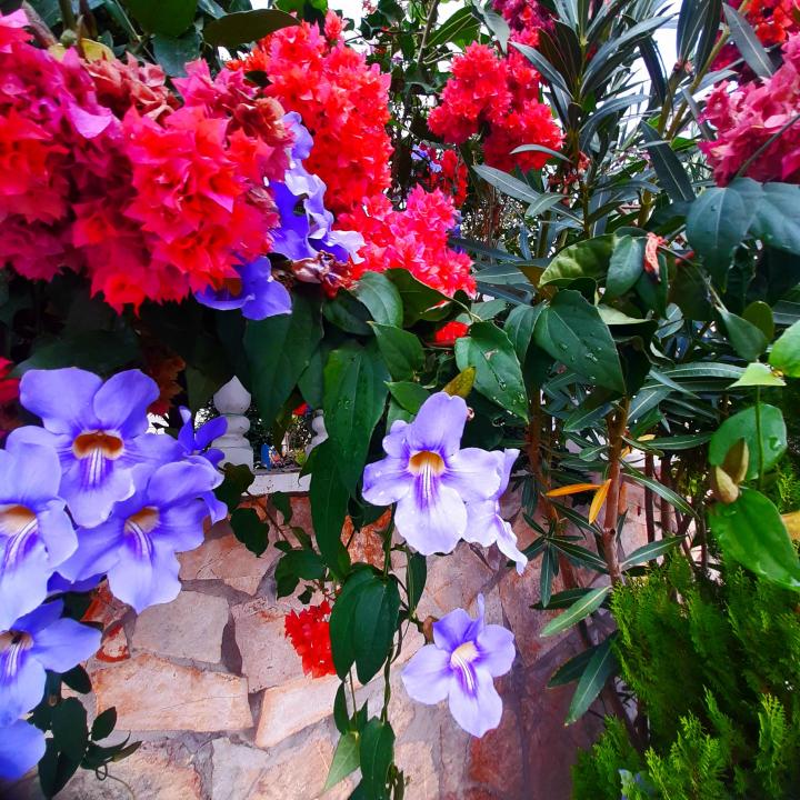 Турция, Махмутлар