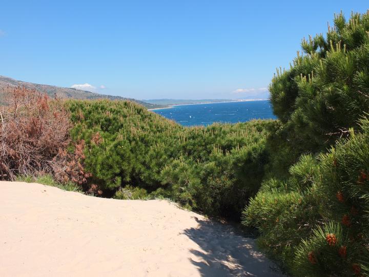 Испания, Андалусия, Болония