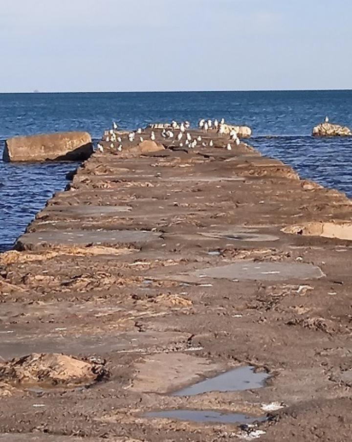 Испания, Кастельон, Винарос