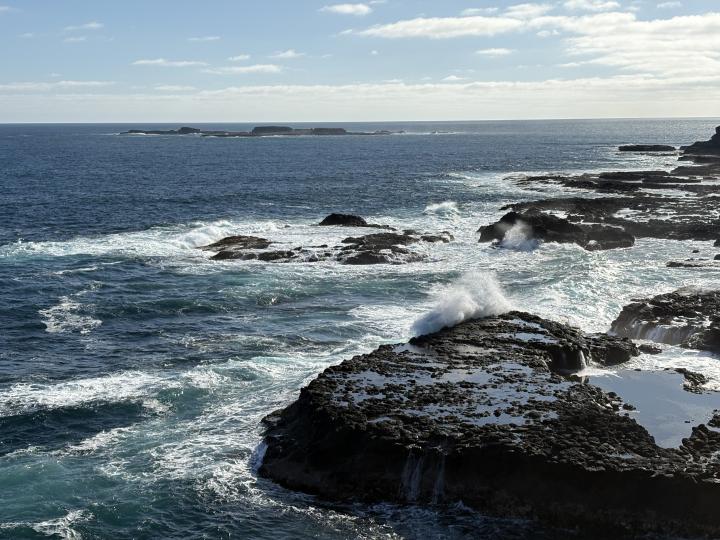 Австралия, Филлип Айленд, Коус