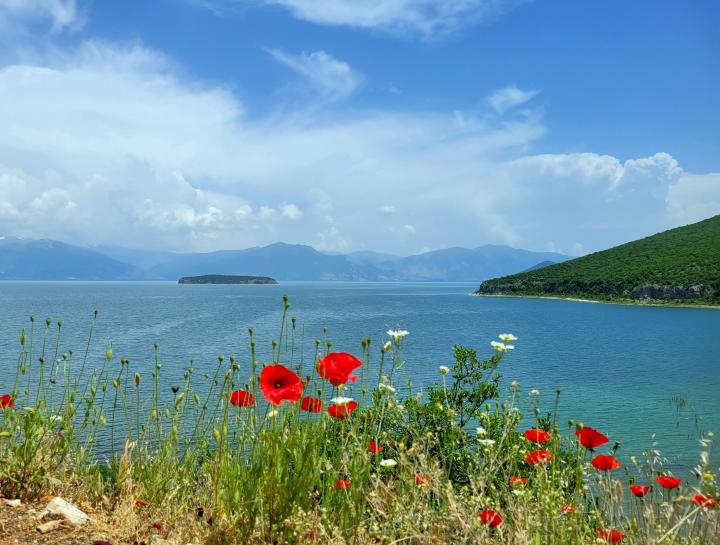 Албания, Пустец