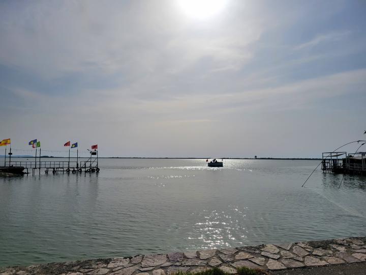 Албания, Паток