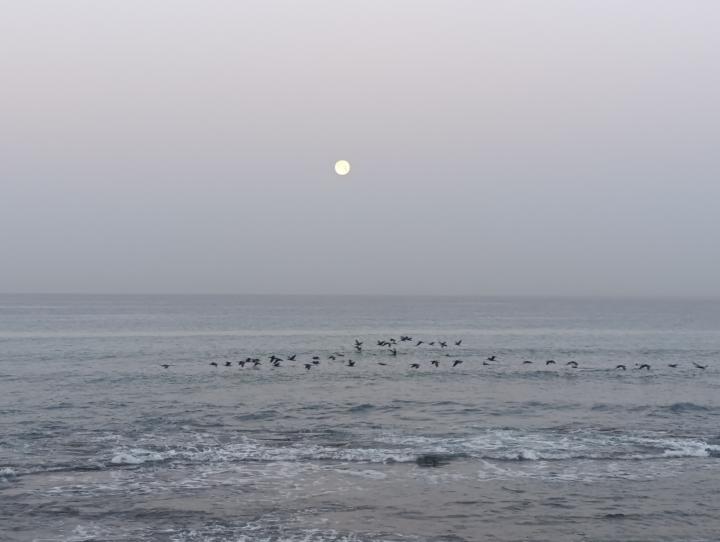 Полная Луна... | Израиль, Хайфа