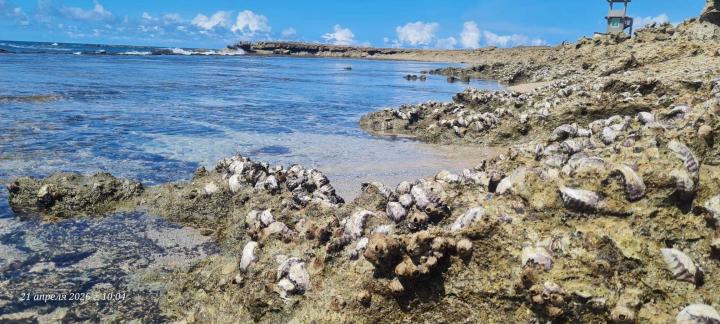 побережье около аэропорта | Сомали, Могадишо