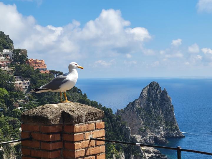 Италия, Кампания, остров Капри