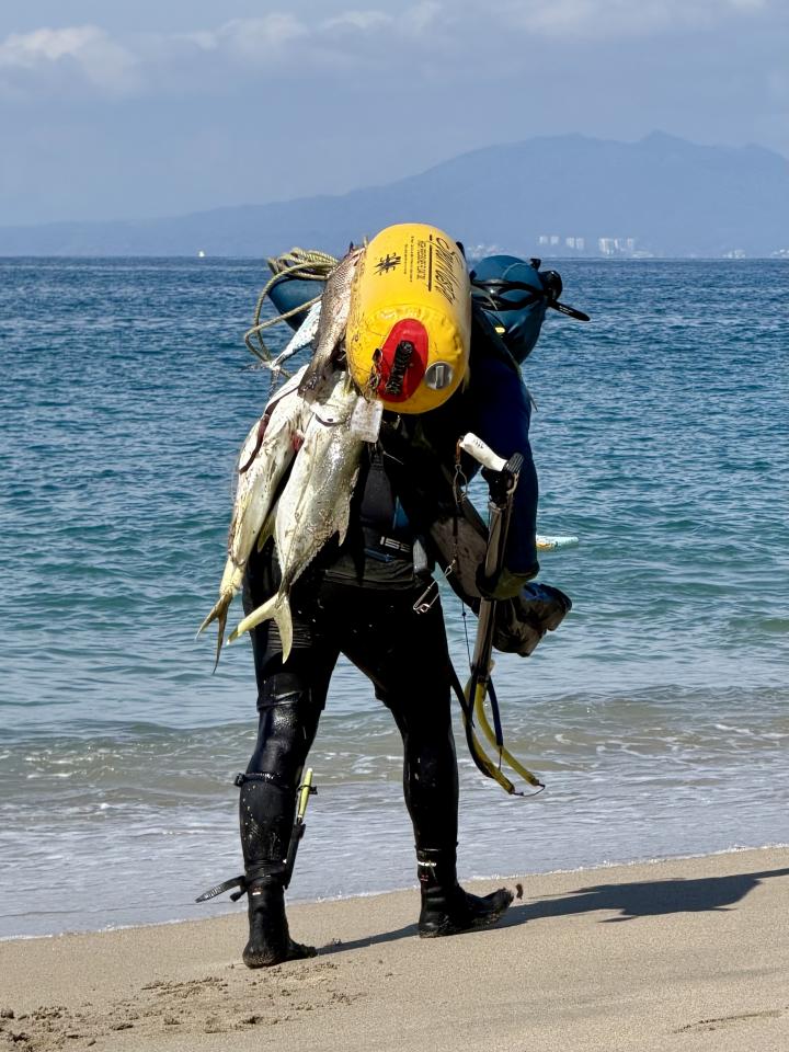 Мексика, Халиско, Пуэрто-Вальярта