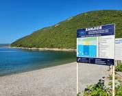 Жаница
