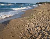 Море в крапец